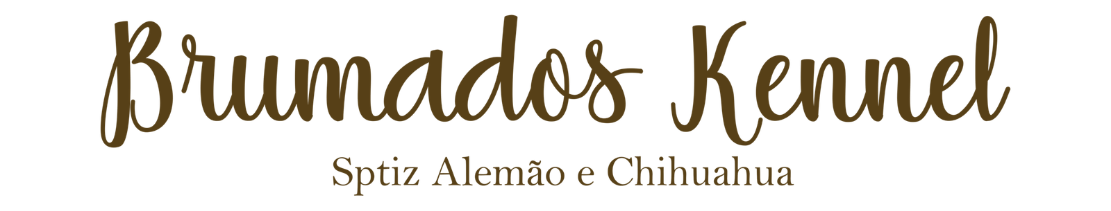 canil-especializado-em-spitz-alemao-e-chihuahua